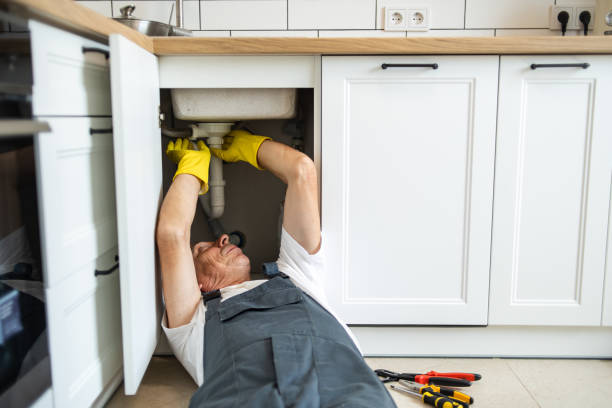Best Clogged Drain Plumber  in Madeira Beach, FL